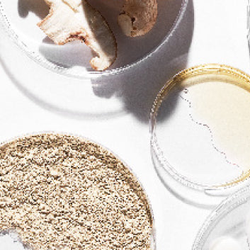 the best ingredients for treating dark spots
