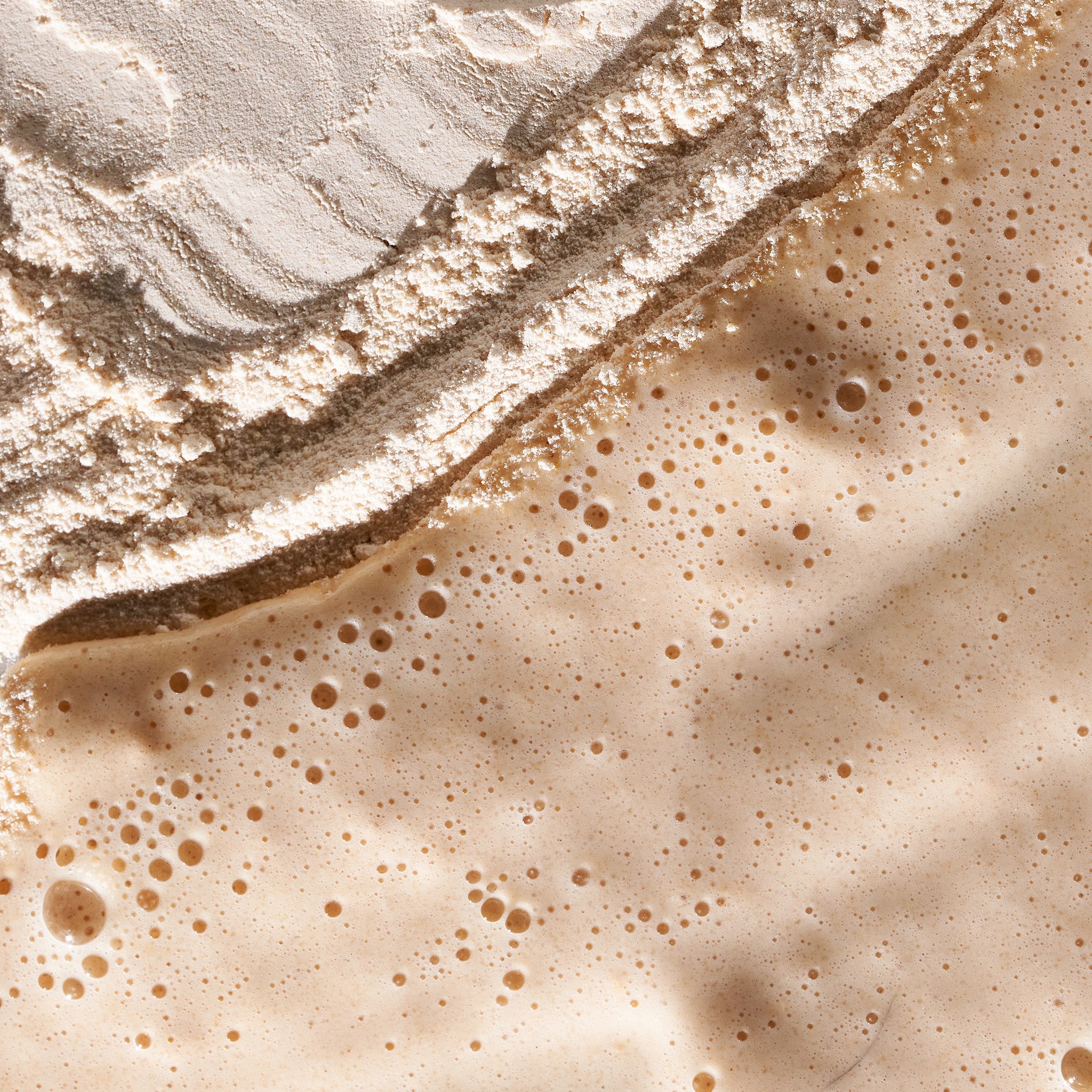 daily milkfoliant travel