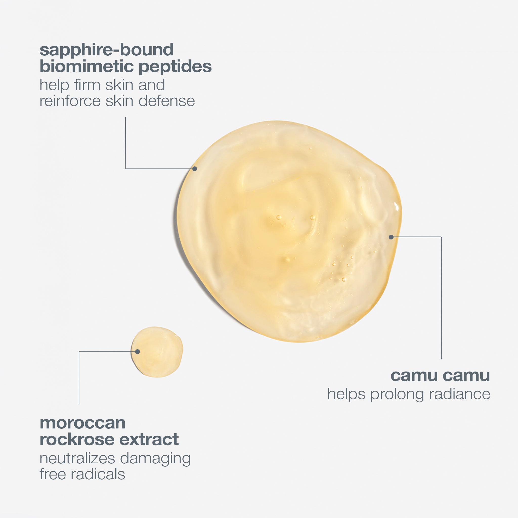 phyto nature firming serum